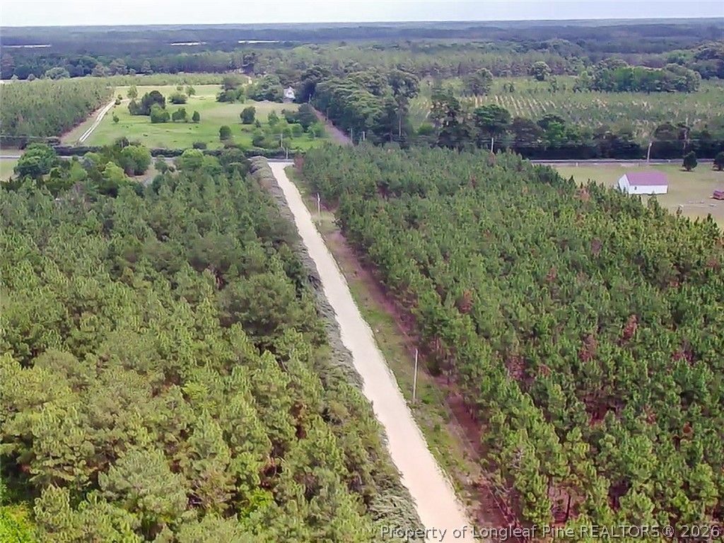 Gainey Road, Raeford, NC 28376 — photo 3