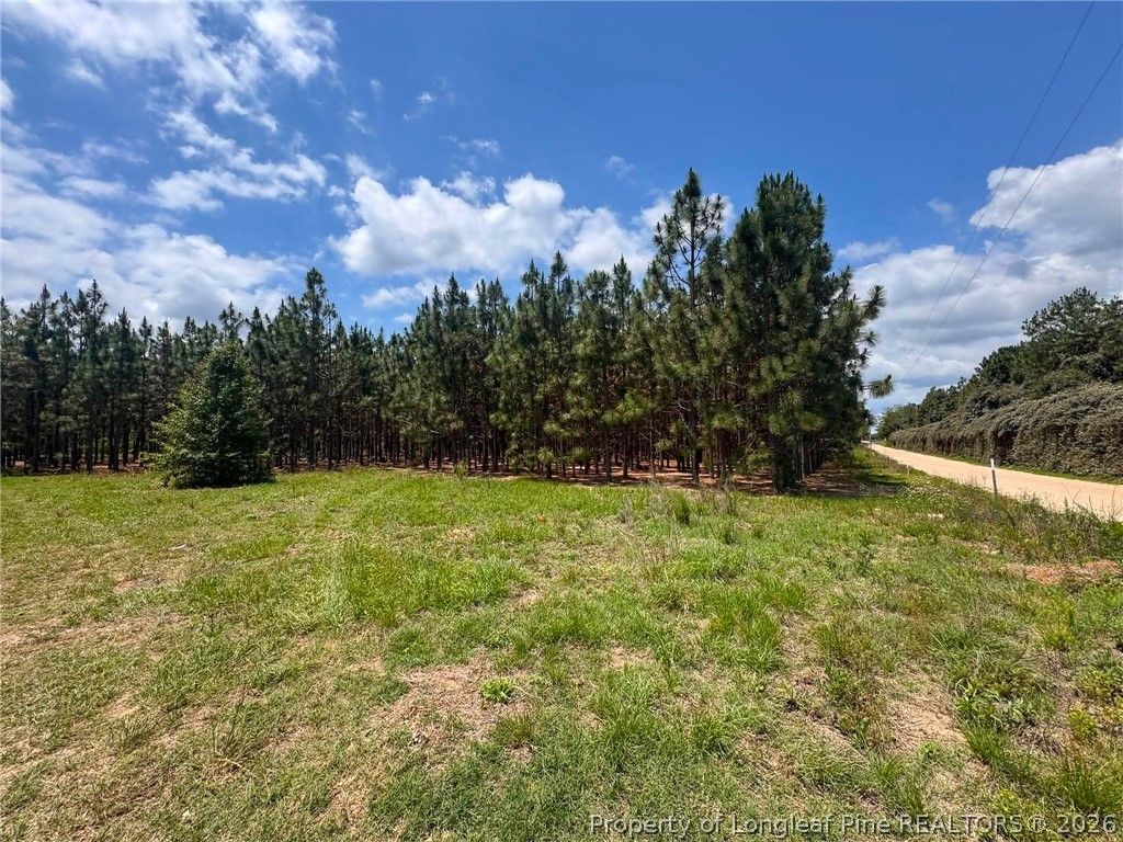 Gainey Road, Raeford, NC 28376 — photo 4