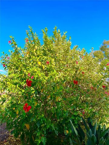 813 CINNAMON DRIVE E, Winter Haven, FL 33880