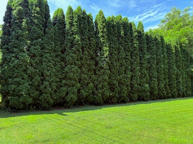 19 California Avenue, Horseheads, NY 14903