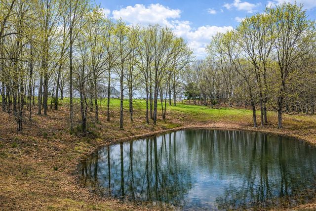 787 County Road 1280, West Plains, MO 65775