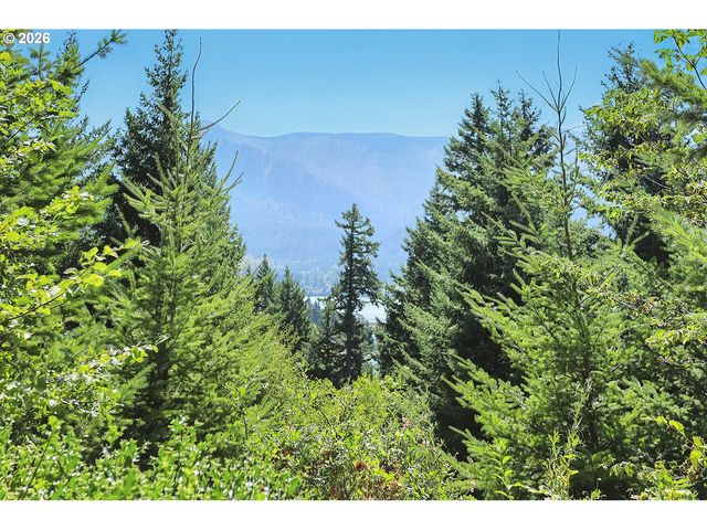 1001 Nw KASPAR Rd, Stevenson, WA 98648