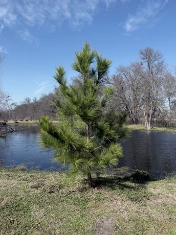 279 County Road 137, Riesel, TX 76682