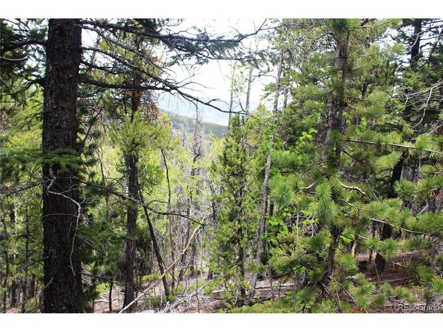 19129 Eliza, Idaho Springs, CO 80461