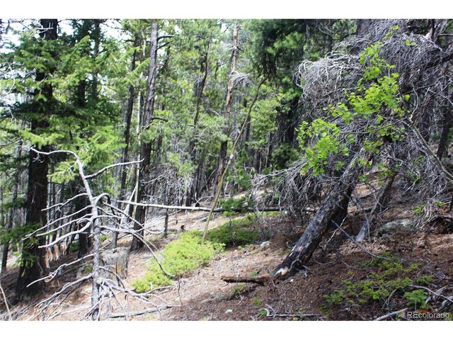 19129 Eliza, Idaho Springs, CO 80461