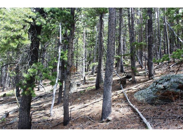 19129 Eliza, Idaho Springs, CO 80461