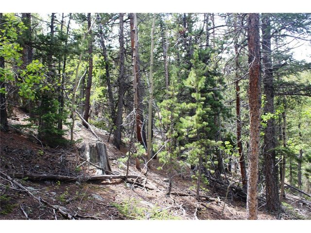 19129 Eliza, Idaho Springs, CO 80461
