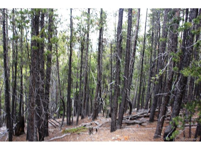19129 Eliza, Idaho Springs, CO 80461