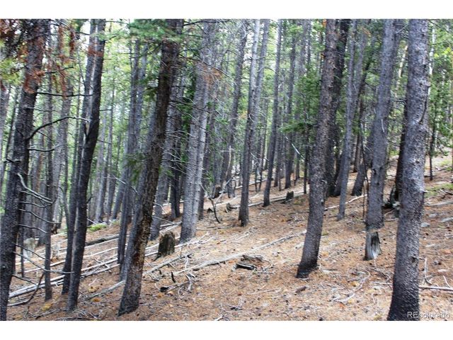 19129 Eliza, Idaho Springs, CO 80461