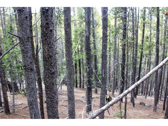 19129 Eliza, Idaho Springs, CO 80461