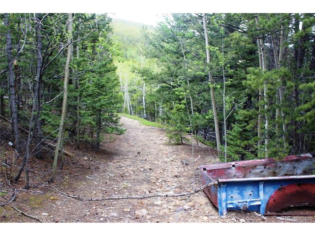 19129 Eliza, Idaho Springs, CO 80461