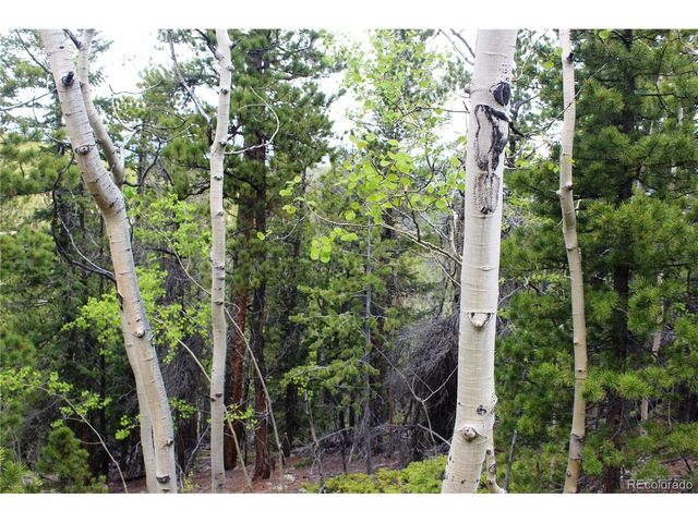19129 Eliza, Idaho Springs, CO 80461