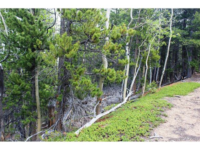19129 Eliza, Idaho Springs, CO 80461