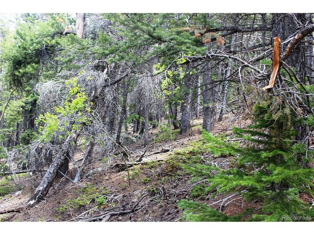 19129 Eliza, Idaho Springs, CO 80461