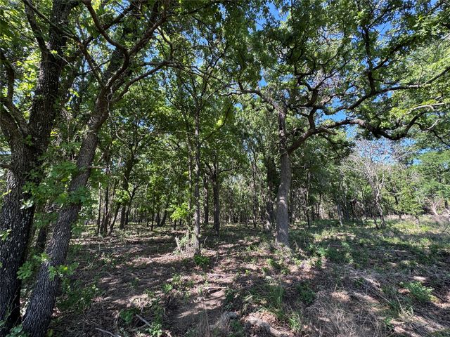 144 Cedar Oak Drive, Decatur, TX 76234