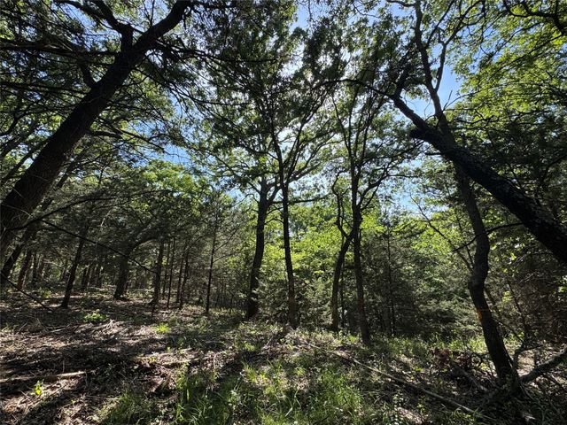 144 Cedar Oak Drive, Decatur, TX 76234