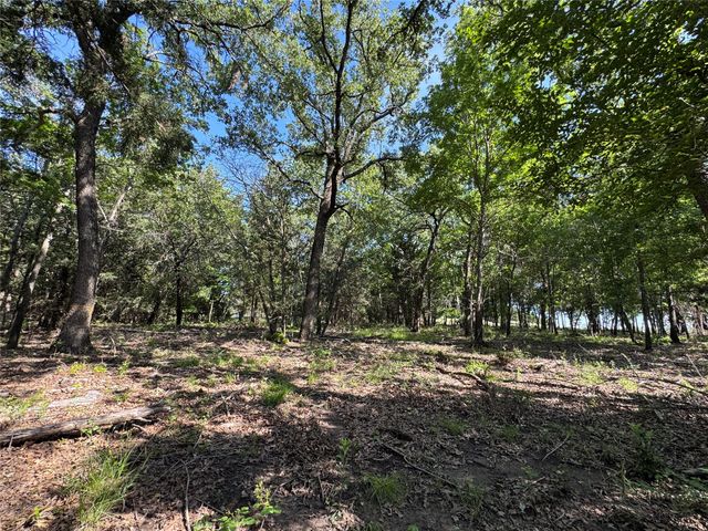 144 Cedar Oak Drive, Decatur, TX 76234