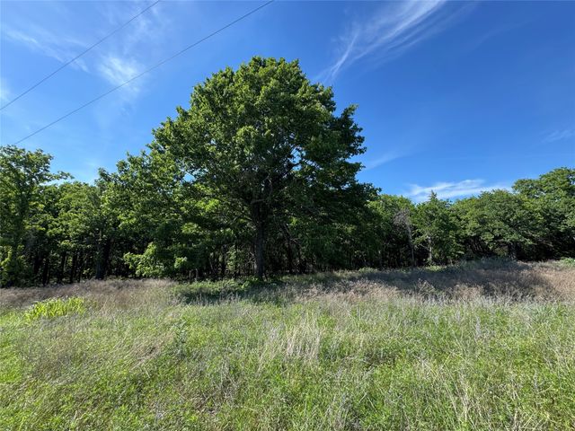 144 Cedar Oak Drive, Decatur, TX 76234