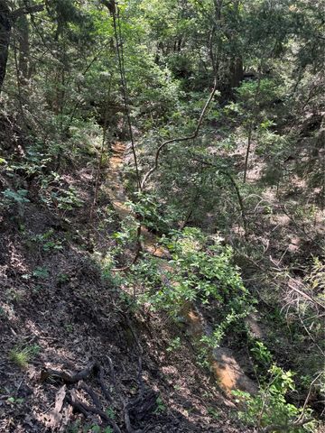 144 Cedar Oak Drive, Decatur, TX 76234