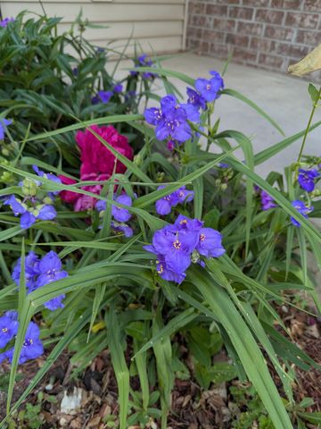 3913 Oxford Drive, Woodbury, MN 55125