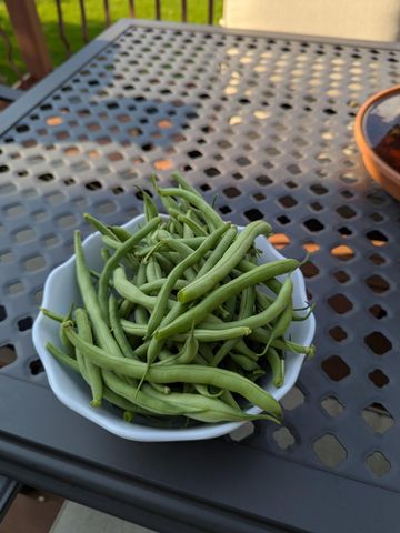 3913 Oxford Drive, Woodbury, MN 55125