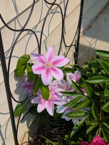 3913 Oxford Drive, Woodbury, MN 55125