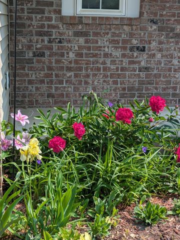 3913 Oxford Drive, Woodbury, MN 55125