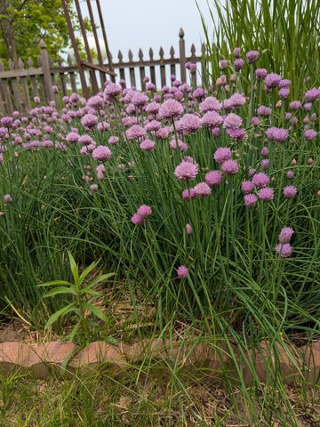 3913 Oxford Drive, Woodbury, MN 55125