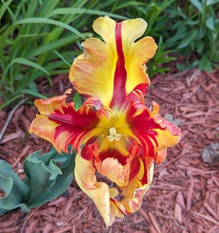 3913 Oxford Drive, Woodbury, MN 55125