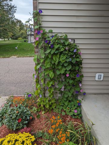 3913 Oxford Drive, Woodbury, MN 55125