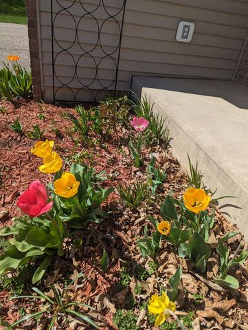 3913 Oxford Drive, Woodbury, MN 55125