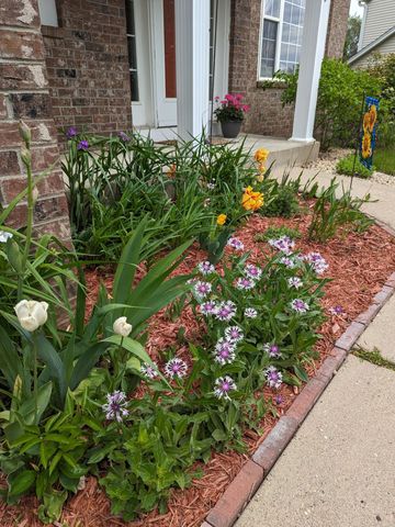 3913 Oxford Drive, Woodbury, MN 55125