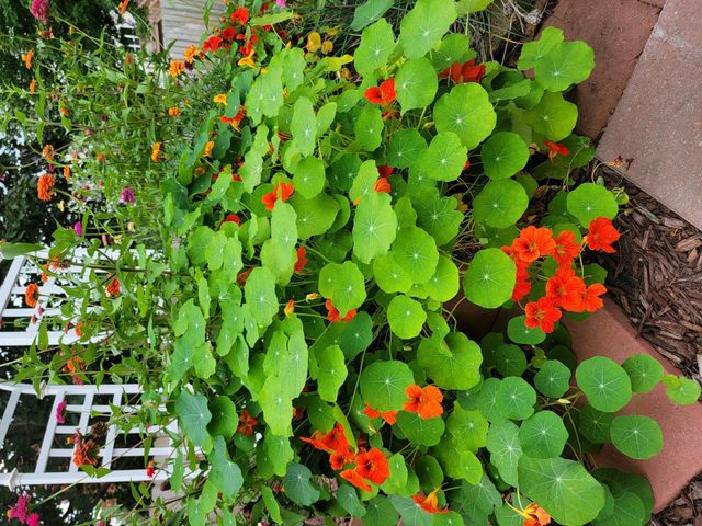 3913 Oxford Drive, Woodbury, MN 55125