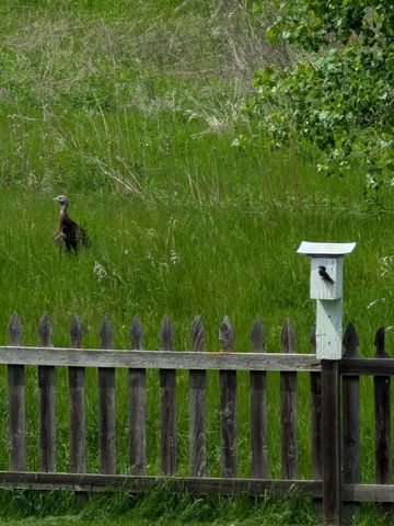 3913 Oxford Drive, Woodbury, MN 55125