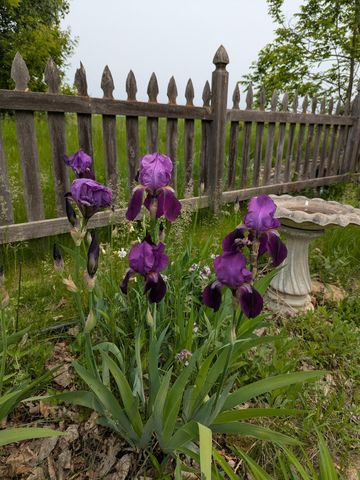 3913 Oxford Drive, Woodbury, MN 55125