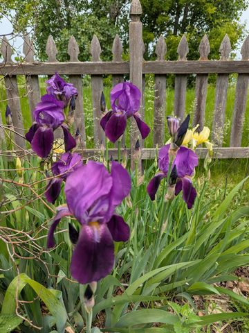 3913 Oxford Drive, Woodbury, MN 55125