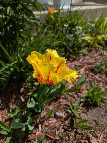 3913 Oxford Drive, Woodbury, MN 55125