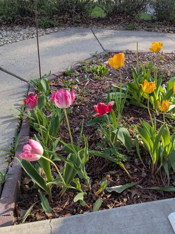 3913 Oxford Drive, Woodbury, MN 55125