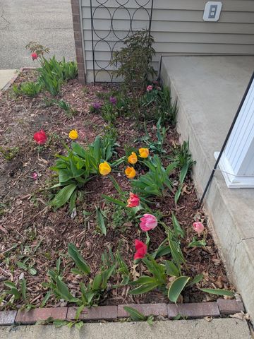 3913 Oxford Drive, Woodbury, MN 55125