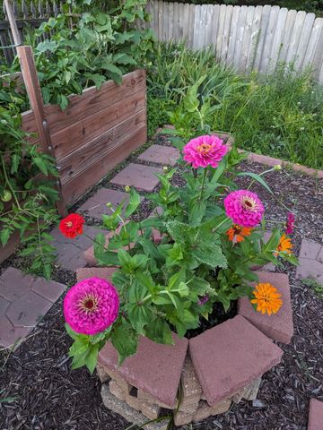 3913 Oxford Drive, Woodbury, MN 55125