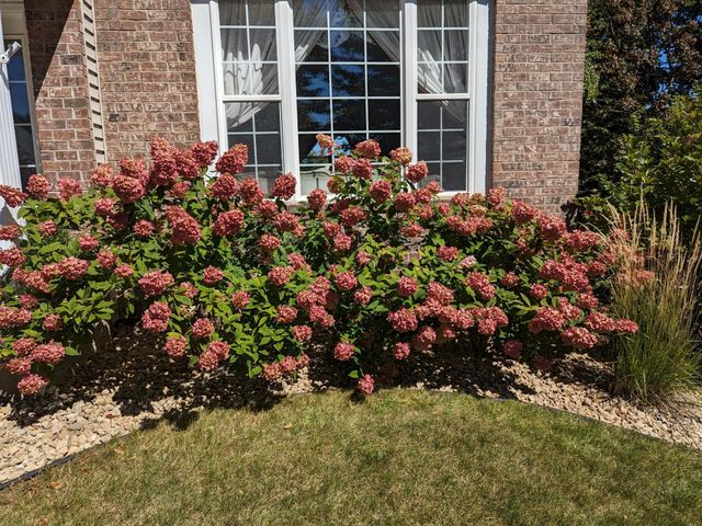 3913 Oxford Drive, Woodbury, MN 55125