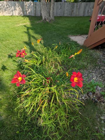 3913 Oxford Drive, Woodbury, MN 55125