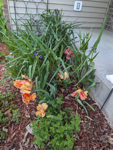 3913 Oxford Drive, Woodbury, MN 55125