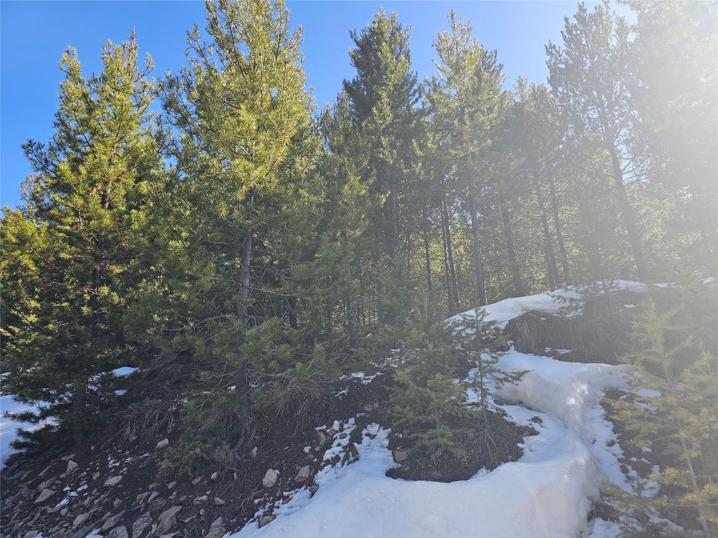 NHN Elk Horn Road, Helmville, MT 59843 photo 10