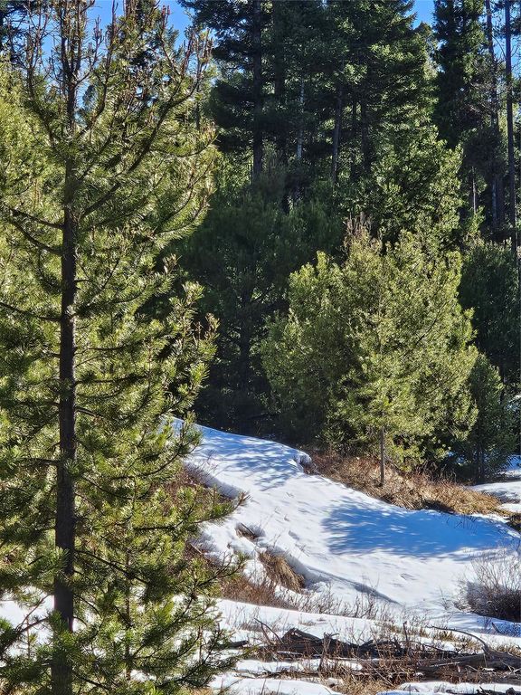NHN Elk Horn Road, Helmville, MT 59843 photo 13
