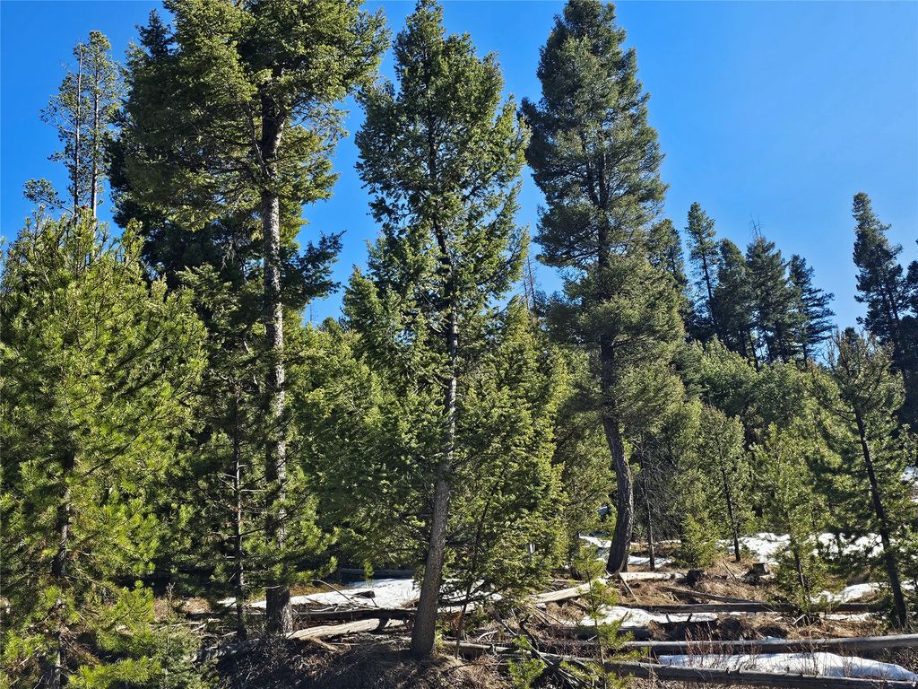 NHN Elk Horn Road, Helmville, MT 59843 photo 14