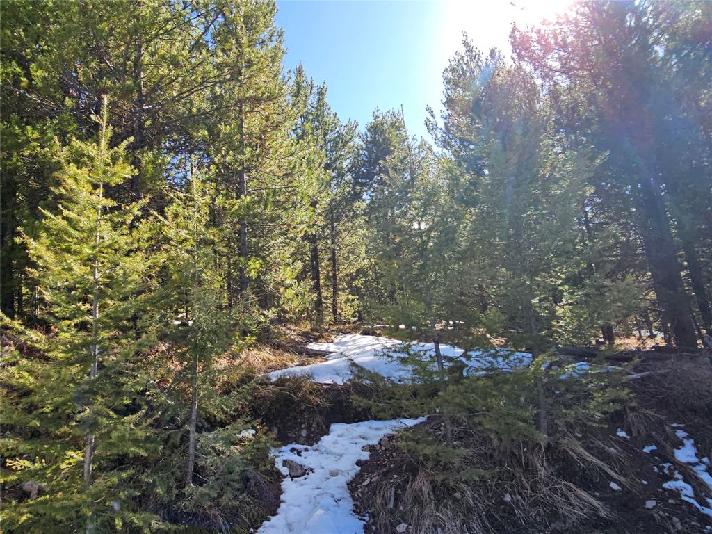 NHN Elk Horn Road, Helmville, MT 59843 photo 2