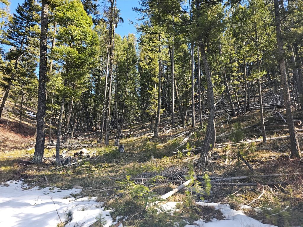 NHN Elk Horn Road, Helmville, MT 59843 photo 4