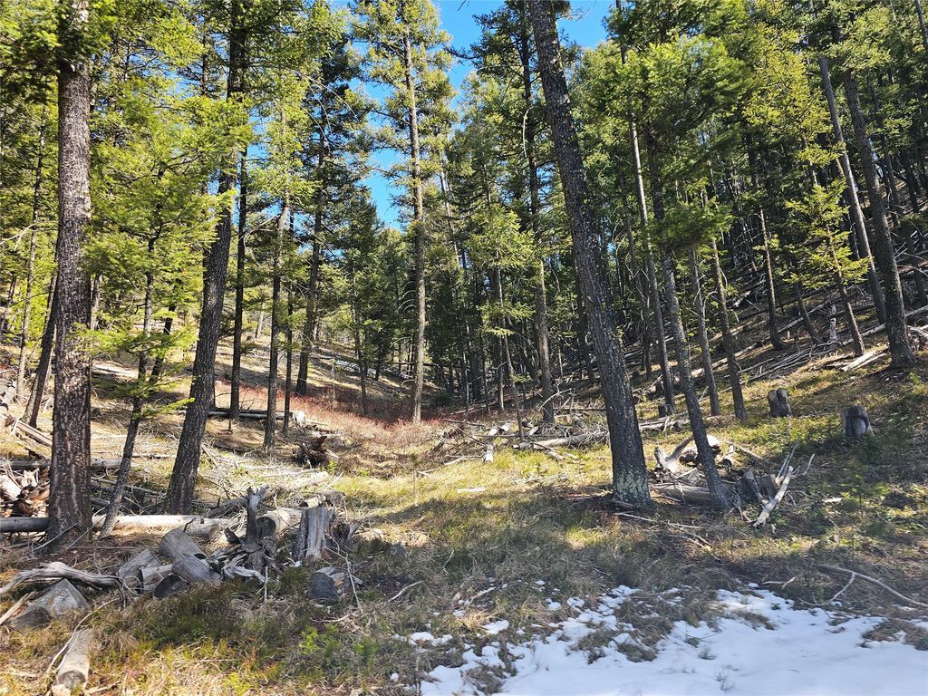 NHN Elk Horn Road, Helmville, MT 59843 photo 5