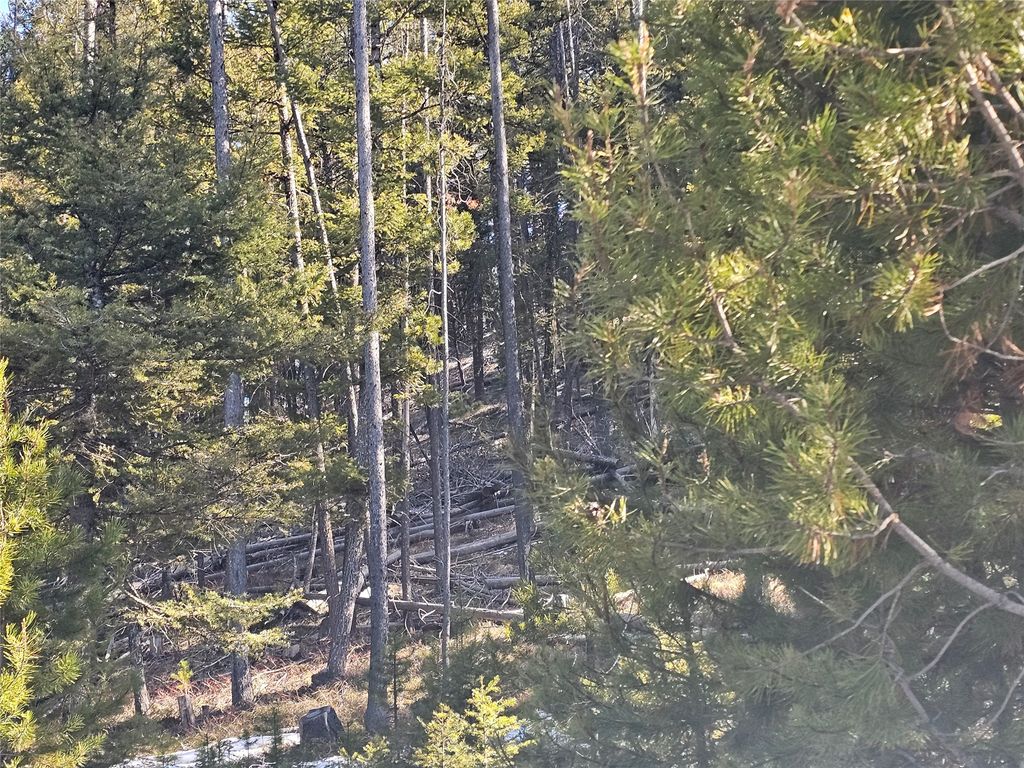 NHN Elk Horn Road, Helmville, MT 59843 photo 7